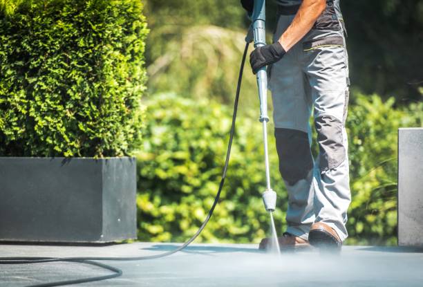 Best House Exterior Washing  in Rson, CA
